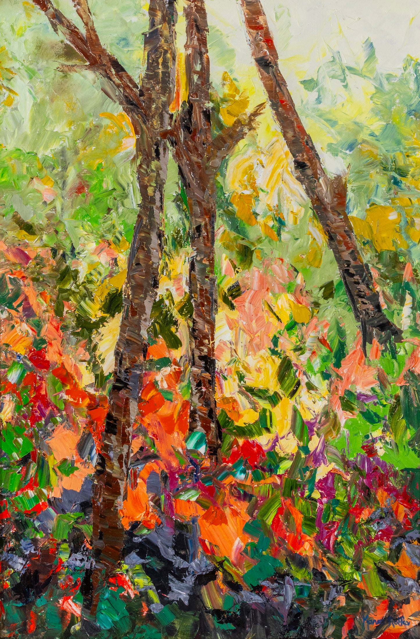 Fall In The Woods