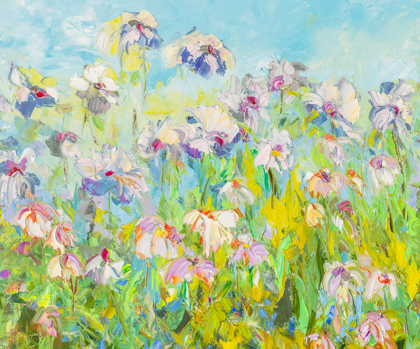 Daisies Delight